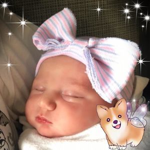 Meet your Posher, Steve